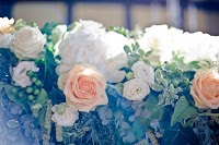 Becky Long Photography 1066911 Image 8